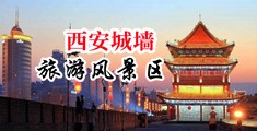 肏逼com中国陕西-西安城墙旅游风景区