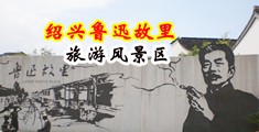日本厕所女人尿尿视屏中国绍兴-鲁迅故里旅游风景区